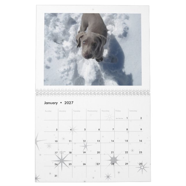 Calendário weimaraner 2012 (Jan 2027)