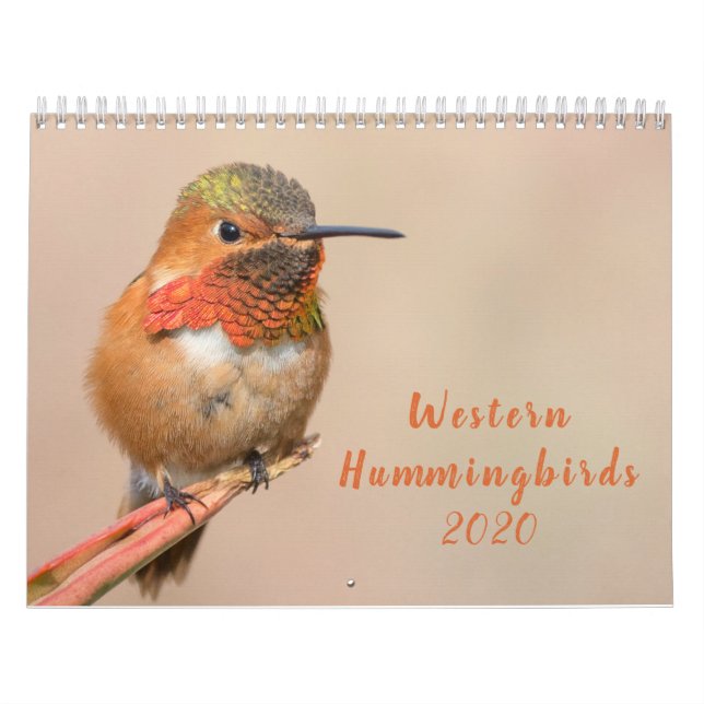 Calendário Western Hummingbird 2020 (Capa)