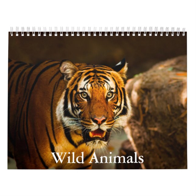 Calendário Wild Animals Calendar (Capa)