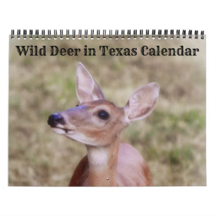 Calendário Wild Deer no Texas Calendar