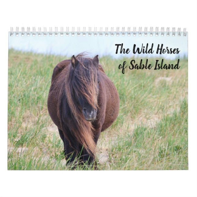 Calendário Wild Horses of Sable Island Calendar (Capa)