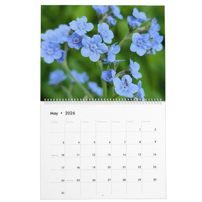 Calendário Wildflower Wonders – A Year of Natural Beauty (Maio 2026)