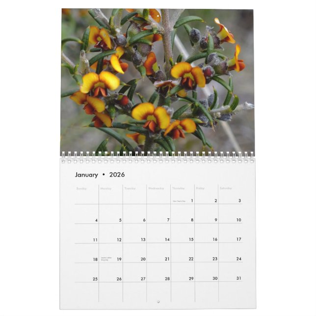 Calendário Wildflowers australianos (Jan 2026)