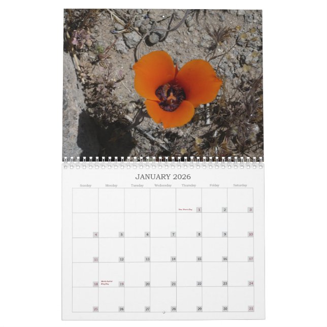 Calendário Wildflowers Calander do deserto (Jan 2026)