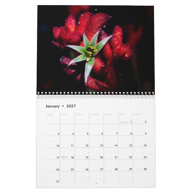Calendário Wildflowers de Austrália (Jan 2027)