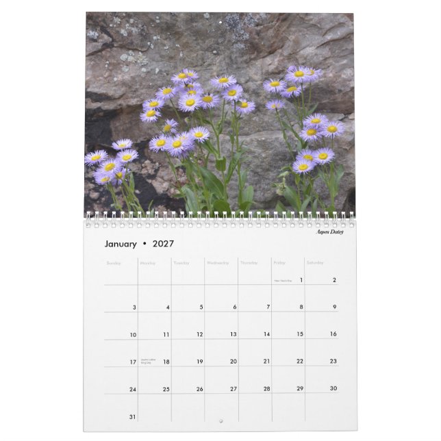 Calendário Wildflowers de Colorado (Jan 2027)