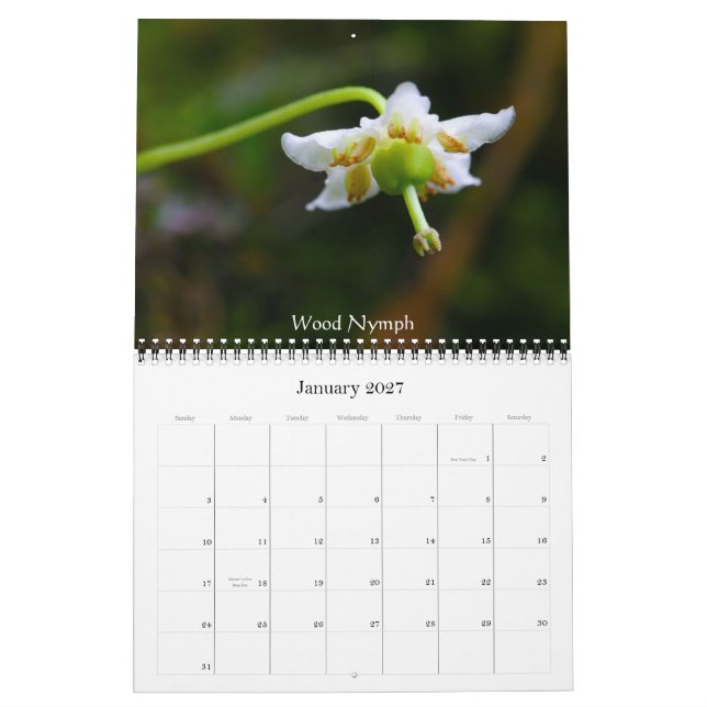 Calendário Wildflowers de montículo com crista (Jan 2027)