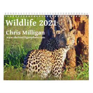 Calendário Wildlife 2021, por Chris Milligan