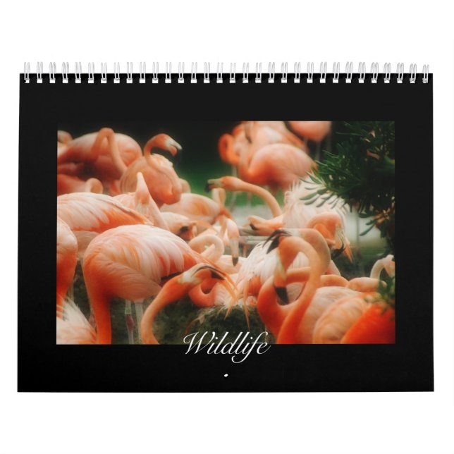 Calendário Wildlife Calendar (Capa)