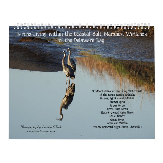 Calendário Wildlife Calendar, Waterbirds, Herons (Capa)