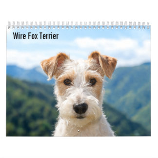 Calendário Wire Fox Terrier 2027