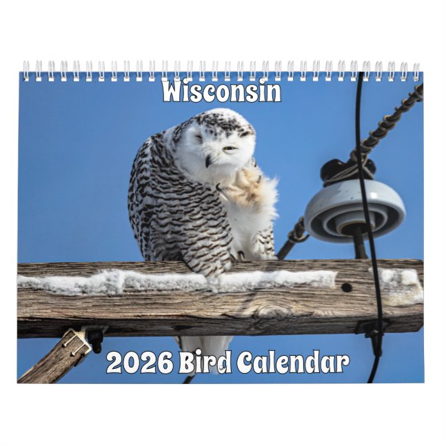 Calendário Wisconsin Birds Calendar 2026 (Capa)