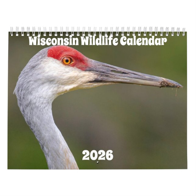 Calendário Wisconsin Wildlife Calendar 2026 (Capa)