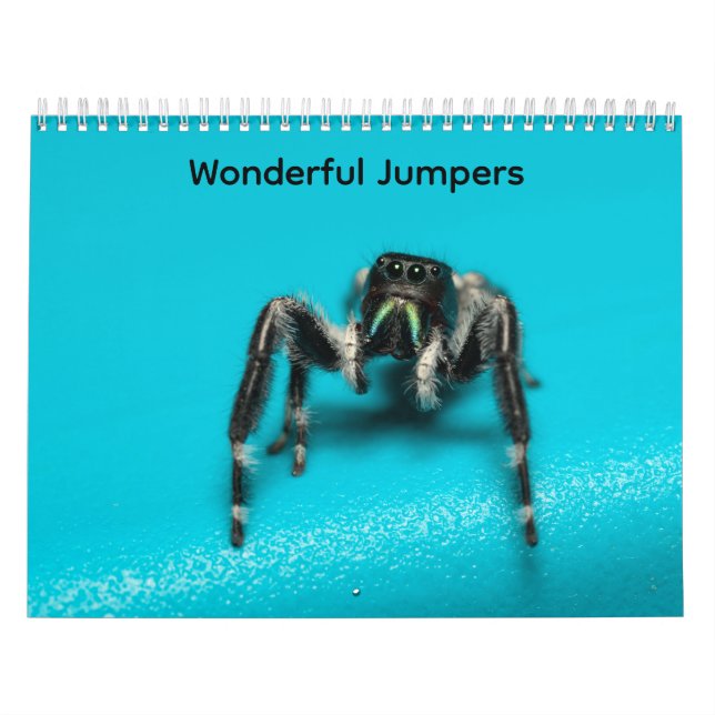 Calendário Wonderful Jumpers (Capa)