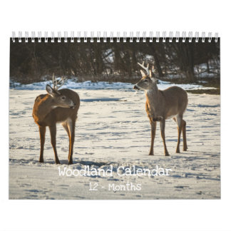 Calendário Woodland Creatures Nature 