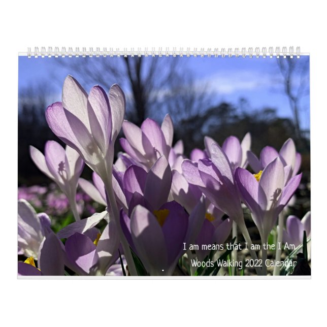 Calendário Woods Walking 2022 Calendar (Capa)