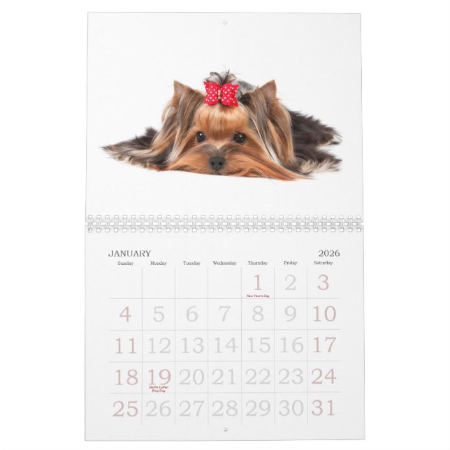 Calendário Yorkshires terrier bonitos (Jan 2026)