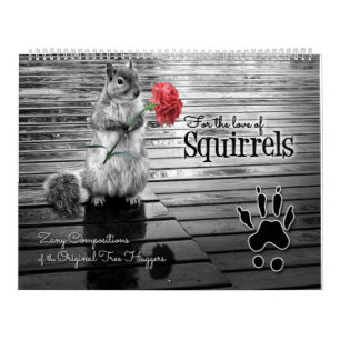 Calendário Zany Squirrel Lover Wildlife 12 meses