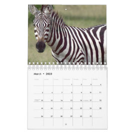 Calendário Zebra