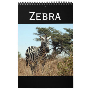 Calendário zebra