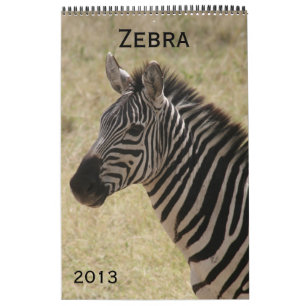 calendário zebra 2013