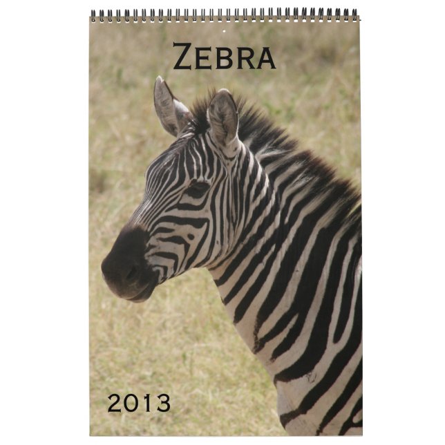 calendário zebra 2013 (Capa)