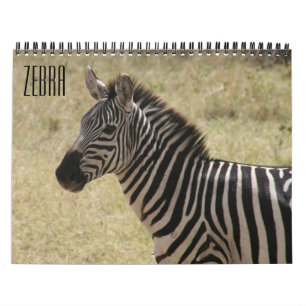 Calendário zebra 2022