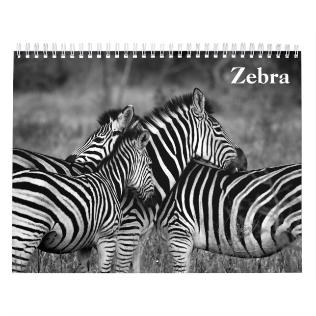 Calendário zebra 2025 (Capa)