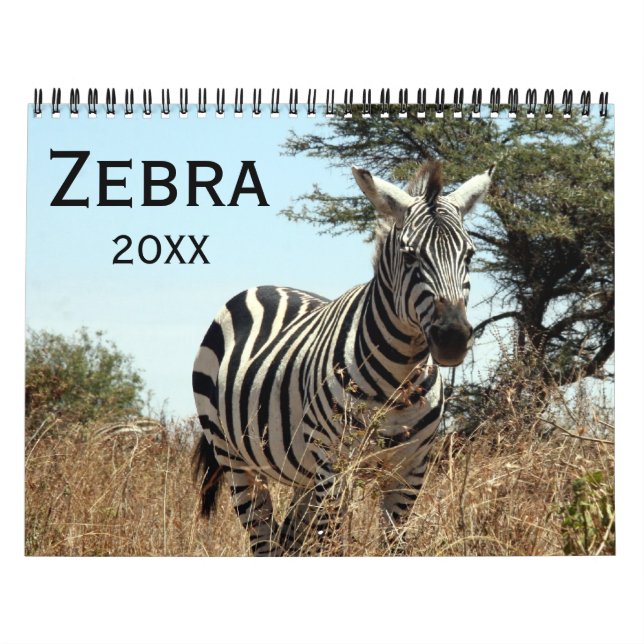 Calendário zebra 2026 (Capa)