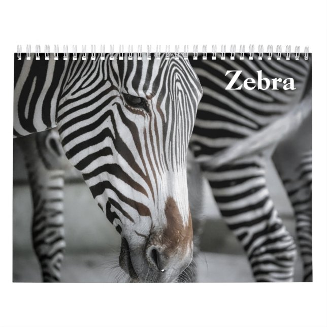 Calendário Zebra 2027 (Capa)