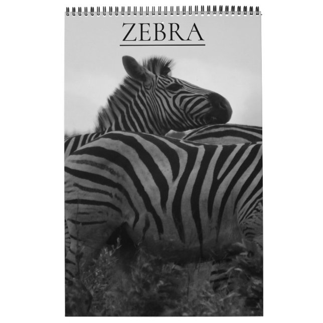 Calendário zebra safari (Capa)