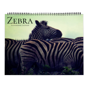 Calendário zebra safari 2026 grande