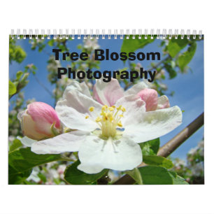 Calendários Árvore de Fotografia Natureza do Flor
