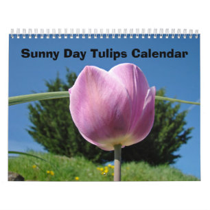Calendários da Flor Natureza Tulipas do Dia Úmido