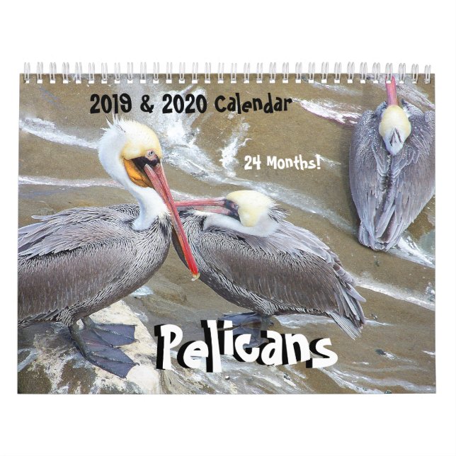 calendários de 2019 2020 animais dos animais (Capa)