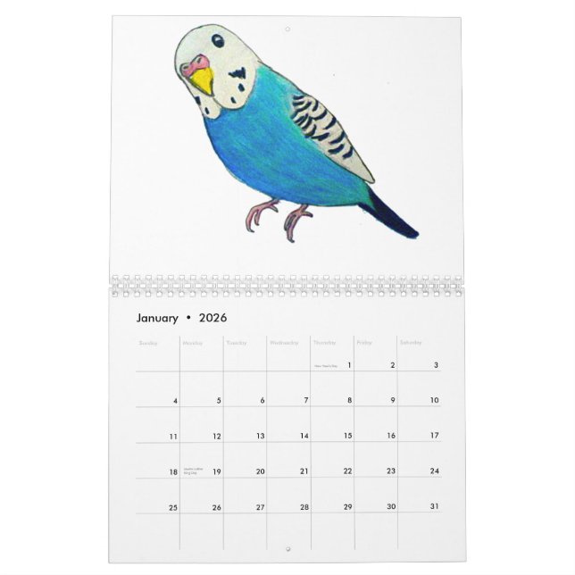 Calendários de Budgies (Jan 2026)