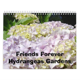 Calendários de Jardins de Hydrangea para Amigos pa