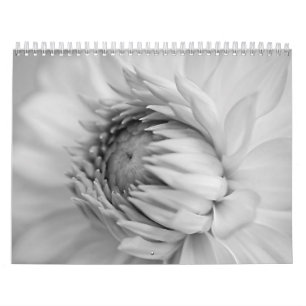 Calendários preto e branco da flor