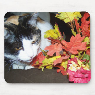 Calico Cat Autumn Fall Deixa Mousepad