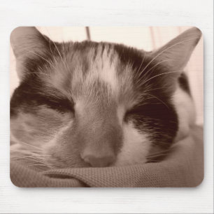 Calico Cat Mousepad