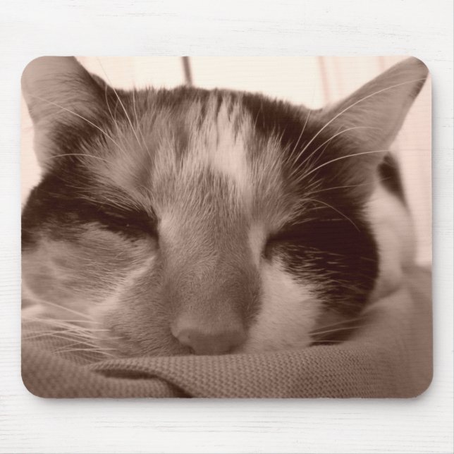 Calico Cat Mousepad (Frente)