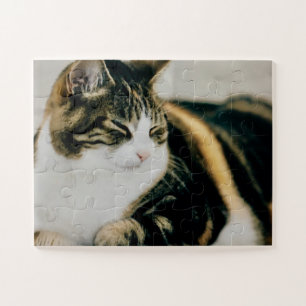 Calico Cat... Quebra-cabeça de Gato com Sono