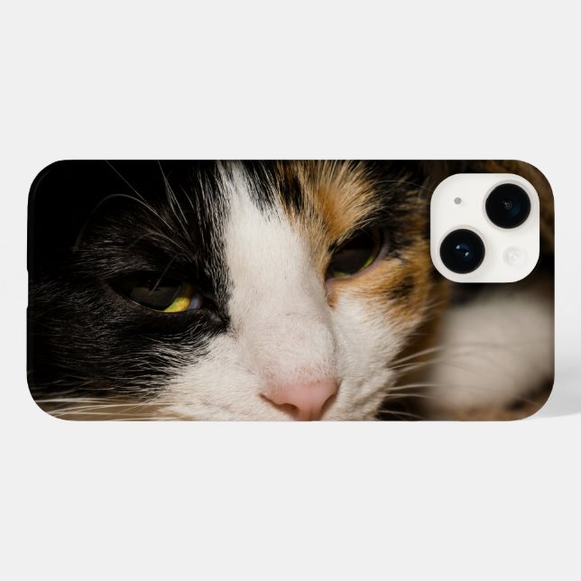Calico Face (Verso (horizontal))