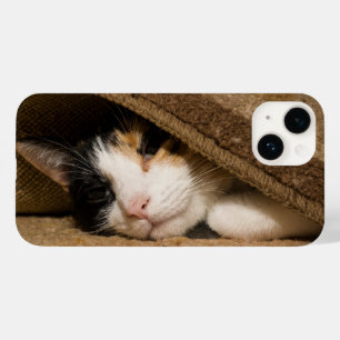 Calico Sob A capas de iphone Do Rug