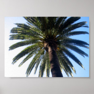 California Beach Palm Tree Custom Poster Art Impre