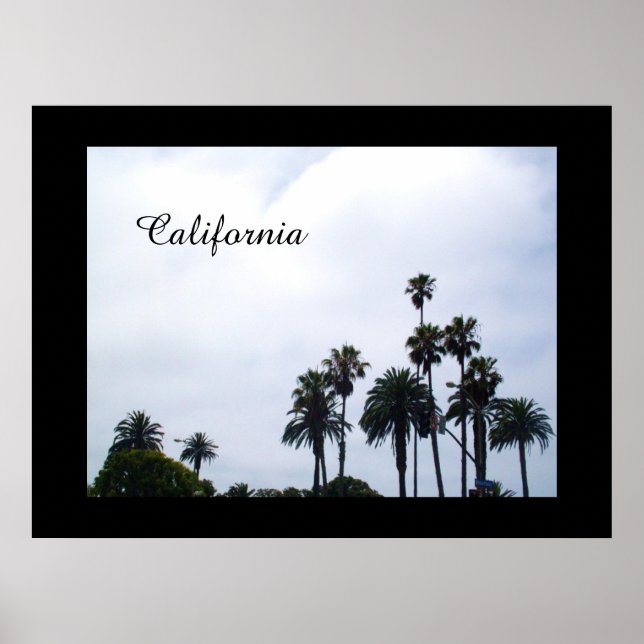 CALIFORNIA PALMS poster (Frente)