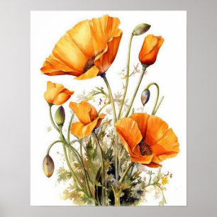 California Poppy Flowers Art Impressão Poster