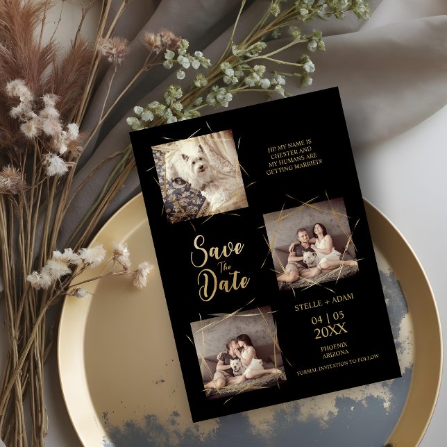 Caligrafia Moderna Na moda Pet Black 3-Photo (Pet Black Stylish Modern Calligraphy 3-Photo Save the Date Cards.)