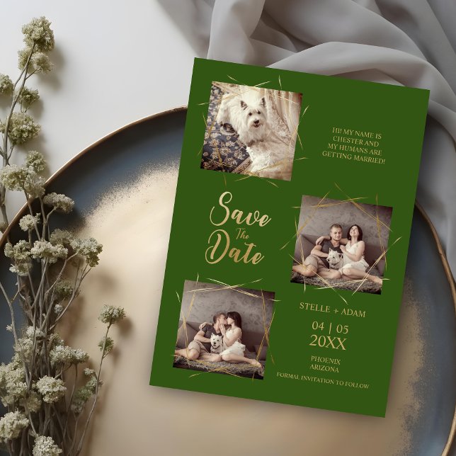 Caligrafia Moderna Na moda Verde Pet 3-Foto (Pet Green Stylish Modern Calligraphy 3-Photo Wedding Save the Date Cards. )