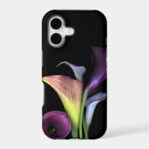Calla Lilly